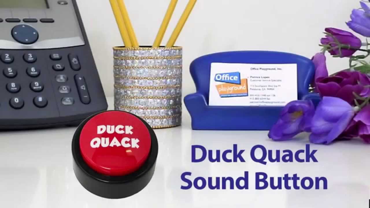duck quacks sound